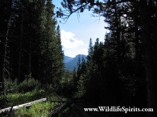 Click Picture to send as an  E-PostCard 64k 550x412